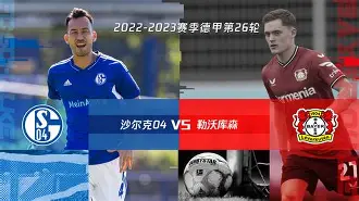 沙尔克vs门兴比赛结果