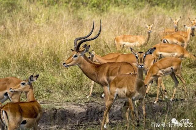 虽然道路坎坷仍要前行的励志诗句