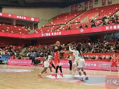 天津女篮队员名单